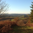 Cefn Arthen summit view