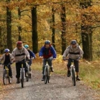 Cyclists in the forest