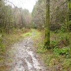 P1050296