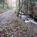 Nant y Dresglen