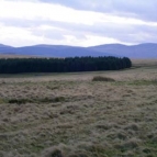 View over Epynt Range