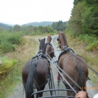 Lasswade Country House Hotel