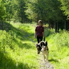 Jenny and dogs