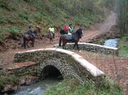 Crychan Forest Association members crossing Pont Cefn-blewog after the restoration of the bridge carried out by Forestry Commission Wales 