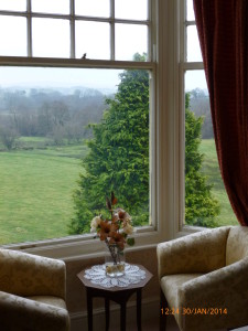View from window