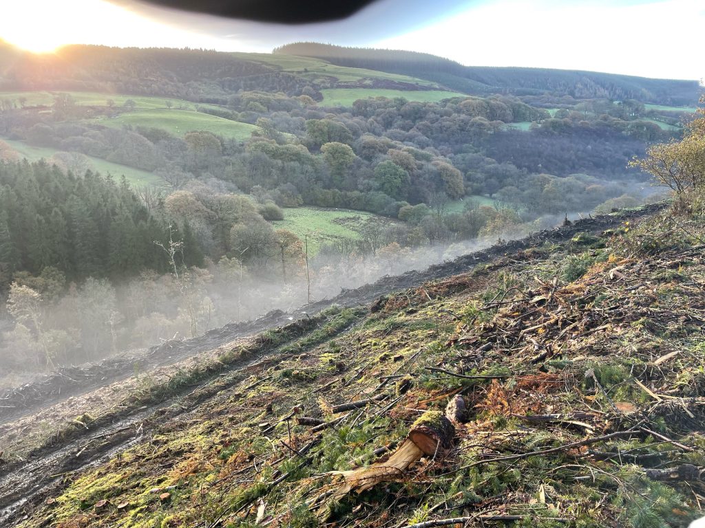 Cwm y Glyn trail