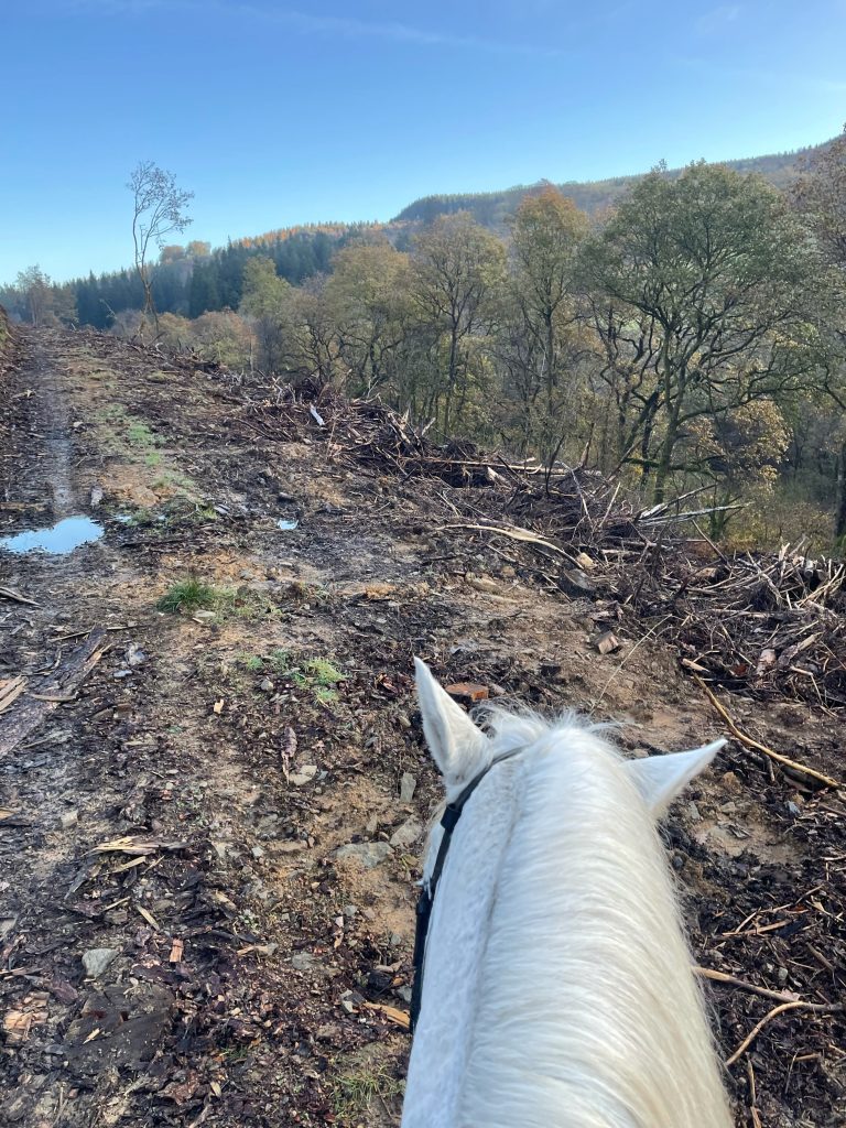 Cwm y Glyn trail